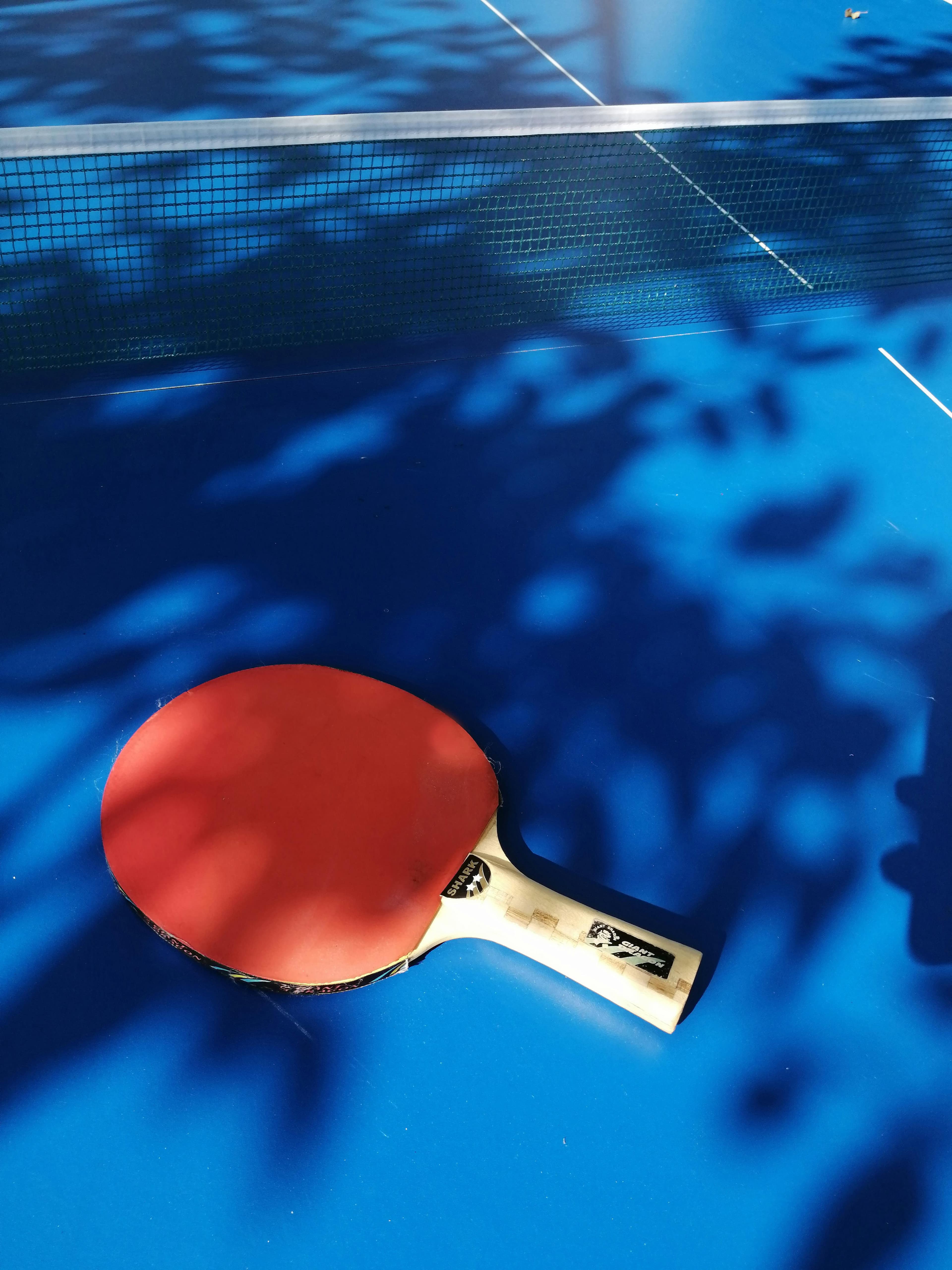 Cluburi de Tenis de Masă în Chișinău